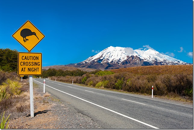 Kiwi and mount Ruapehu