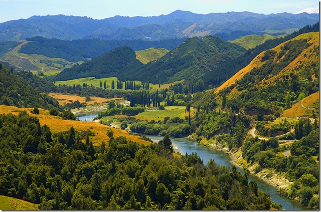 whanganui-river-road-new-zealand